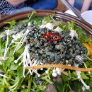 서오릉다슬기 이미지