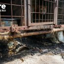 근원농장 이미지