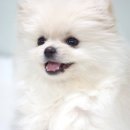 예쁘니