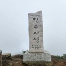도마령(영) 네이버블로그