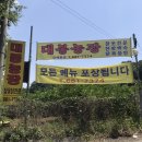 참옻나무촌닭 | [광주] 대봉농장 금호동 경치 좋은 촌닭 전문 맛집 리뷰:)