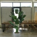 더시슬(The Thistle)