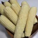 인정농산 | 건강하고 맛있는 지금 딱 제철인 찰옥수수!! 아로농산 찰옥수수