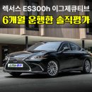준카 | 렉서스 ES300h 이그제큐티브 6개월 운행한 솔직평가