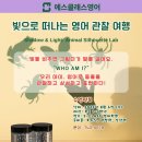 이이학원 | 대청초 영어학원 [방학 특강 후기] 초등영어, 이렇게 재밌을 수 있나요?-빛으로 떠나는 영어 관찰 여행