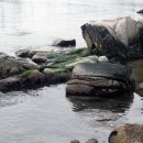 신암1리 | 해안선 따라 - 1857 - 울산 신암리 갯바위