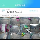 이사박사익스프레스
