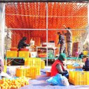 동상면민운동장 이미지