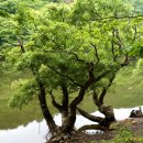 주산공원 이미지