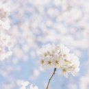 광교미소모아내과의원 이미지