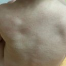 오일프로 | 베비루미] 프로발진러 아기바디오일 추천템 베비루미 사용후기