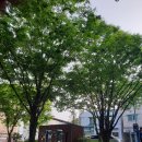 언덕어린이공원 이미지