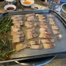 김밥천국(경희대점) | 개강한 바람이 분다(+추가)