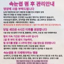 스케치온유