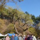 상서초교 이미지