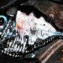 성민교회 이미지