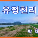 유정천리 : 有情千里 이미지