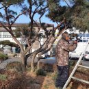 화촌면사무소 이미지