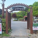 에코야영장 | &lt;캠핑&gt; 원주 치악산국립공원 금대 에코 힐링 야영장 41번 이용후기 (240428)