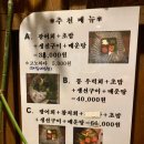 이노시시 이미지