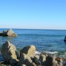 강구바다 이미지