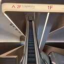 분당미래약국 | 예비부부의 첫 준비✨ 허니문 베이비 꿈꾸며ㅋ | 차병원 산전검사 후기