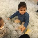 합정릴리펏 이미지