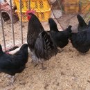 청계슈퍼 이미지