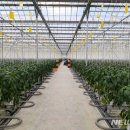 이병찬농장 이미지