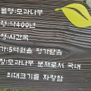 정원식당 앞 이미지