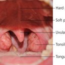 대세당한의원 이미지