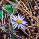 군산시나포면원나포보건진료소 | 군산구불길/햇빛2코스/취성산,망해산 임도 트레킹을 즐기다.