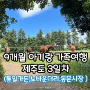 은혜농장2 | 9개월 아기랑 제주도 3일차 | 통일가든국수, 노바운더리카페, 동문재래시장