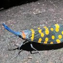 WE ARE FITNESS 이미지