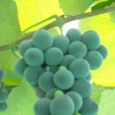 농기계공작실 이미지