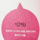더문폴&댄스 이미지