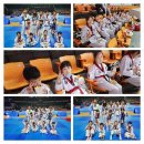 고려태권도장 이미지