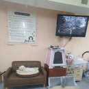 개랑놀아주는남자 이미지