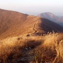 광천-비상-3 이미지