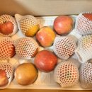 금당골 | 2025 감홍 사과 주문 후기