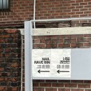 네일레브문 이미지