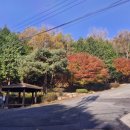 주작산자연휴양림