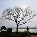 프라움 악기박물관 이미지