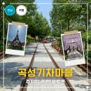 기차마을가든 | 곡성 기차마을 장미정원 레일바이크 솔직 후기 증기기관차 예약방법까지