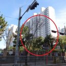 정자천로32번길 이미지