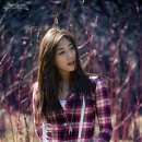 김하율 카카오 검색결과