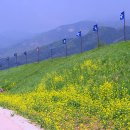 시원한 농장 이미지