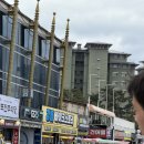 GS25경포윌점 | 강릉 경포호수 자전거 대여 '바이크스토리') 반자동이라 벚꽃 구경이 더 완벽