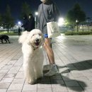 두들랜드 이미지