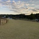 피플앤독 이미지